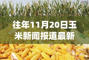 探秘巷弄深處的驚喜小店，往年玉米新聞回顧與隱藏式特色小店的玉米香之旅