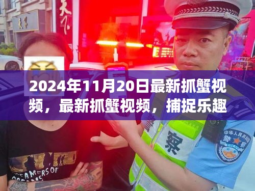 最新抓蟹視頻，捕捉樂趣與生態(tài)平衡交織的探討