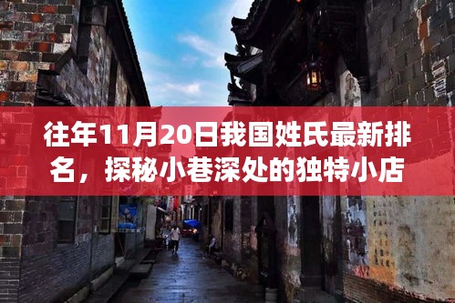 往年11月20日中國姓氏最新排名，小巷深處的獨(dú)特小店背后的故事探秘