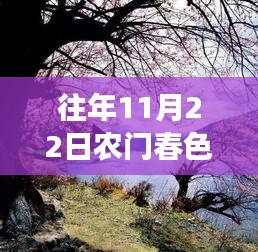 農(nóng)門春色，暖陽下的秋日趣事與深厚友情最新章節(jié)發(fā)布（XXXX年XX月XX日）