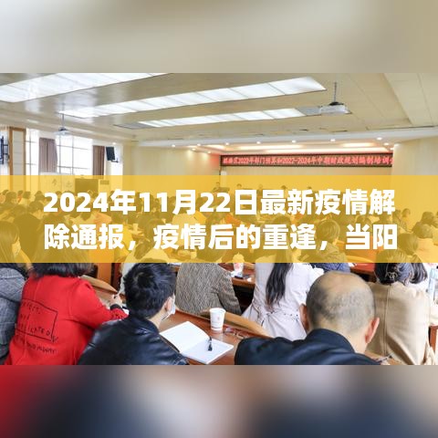 陽光照亮心靈，疫情解除通報與重逢的日子