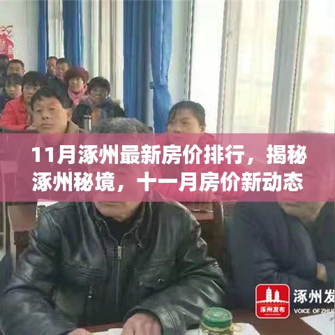 揭秘涿州最新房?jī)r(jià)動(dòng)態(tài)，綠色之旅探尋內(nèi)心平靜之地