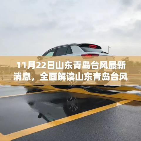 山東青島臺(tái)風(fēng)最新動(dòng)態(tài)，特性解析、競(jìng)品對(duì)比與用戶群體分析體驗(yàn)報(bào)告