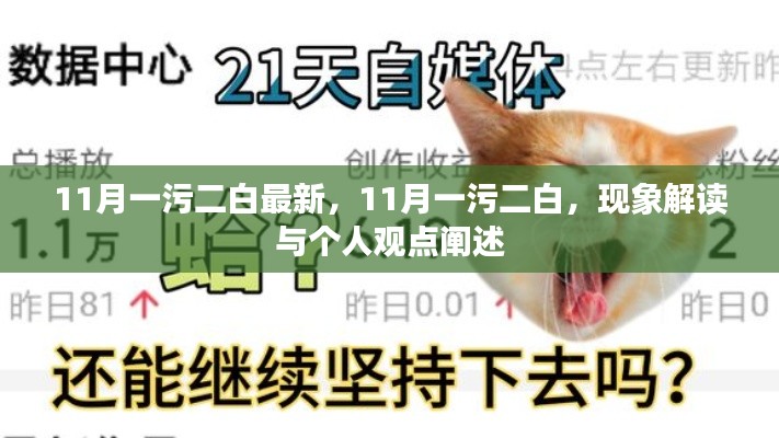 11月一污二白現(xiàn)象解讀與個(gè)人觀點(diǎn)闡述，最新觀察與闡述