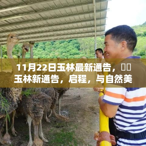 玉林新通告發(fā)布，啟程共舞自然美景，探尋內(nèi)心寧靜之樂