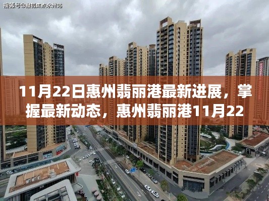 惠州翡麗港11月22日最新進(jìn)展詳解與操作指南，掌握最新動態(tài)！