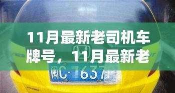 11月最新老司機(jī)車牌號(hào)，11月最新老司機(jī)車牌號(hào)全面評(píng)測(cè)與介紹