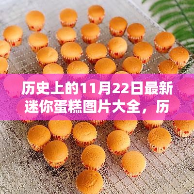 歷史上的11月22日迷你蛋糕圖片精選集，最新圖片大全展示