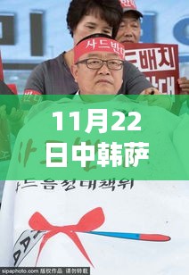 中韓薩德反導(dǎo)系統(tǒng)最新動態(tài)報道（截至11月22日）