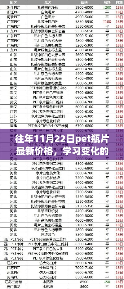 往年11月22日PET瓶片最新價格，探尋變化的力量，自信與成就的來源
