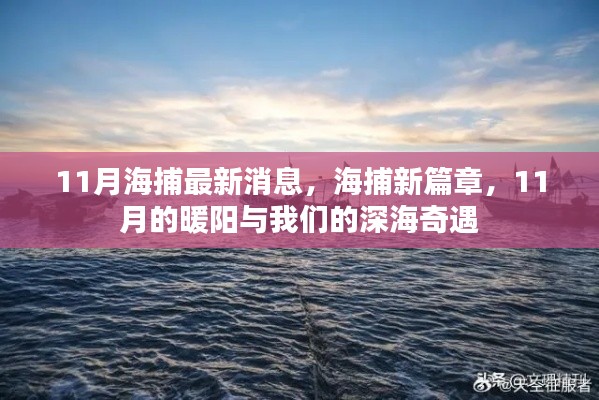 11月深海奇遇，海捕新篇章開啟，暖陽(yáng)下的深海探索之旅