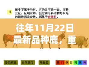 探索最新品種鹿的神奇之旅，鹿界新星重磅更新日揭秘（往年11月22日）