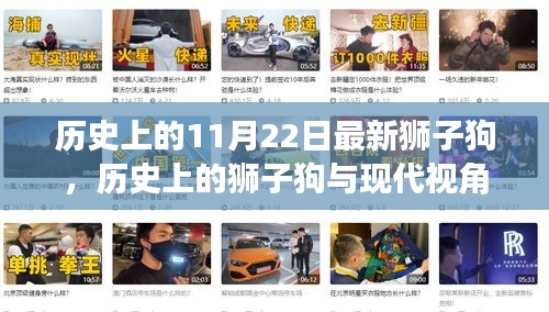 歷史上的獅子狗，從過(guò)去到現(xiàn)代的視角探討與最新獅子狗事件回顧