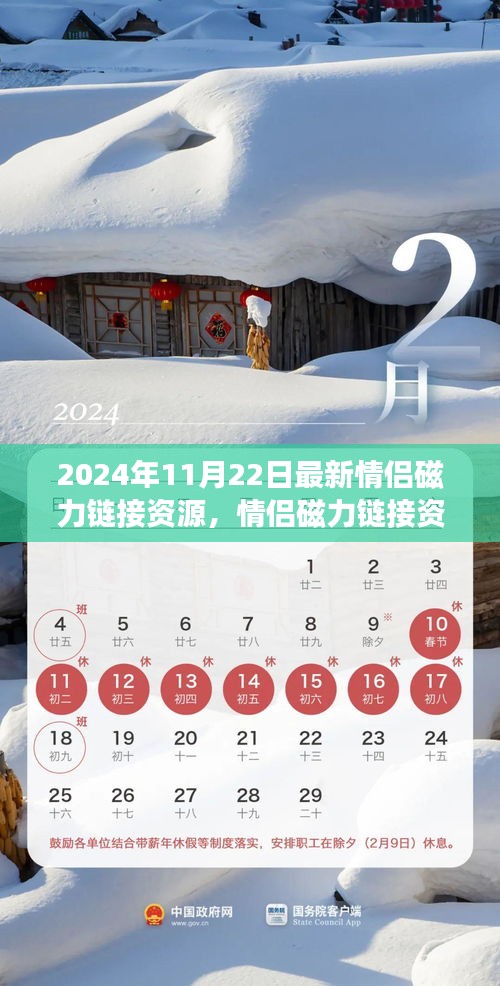 2024年情侶磁力鏈接資源新動(dòng)態(tài)，探索最新進(jìn)展與資源