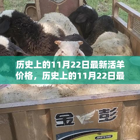 歷史上的11月22日活羊價(jià)格深度評(píng)測與介紹，最新價(jià)格及市場分析