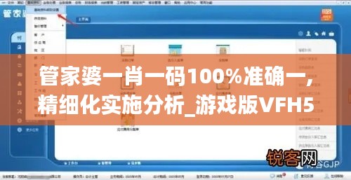 管家婆一肖一碼100%準確一,精細化實施分析_游戲版VFH5.68
