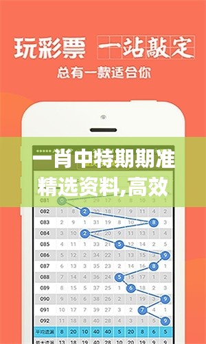 一肖中特期期準精選資料,高效執(zhí)行方案_普及版ZVN5.93