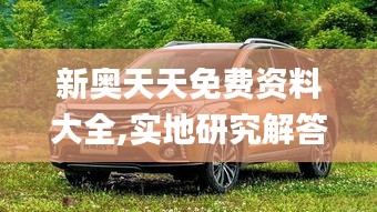 新奧天天免費資料大全,實地研究解答協(xié)助_用心版RQU5.58