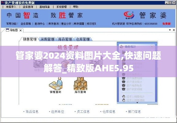 管家婆2024資料圖片大全,快速問(wèn)題解答_精致版AHE5.95