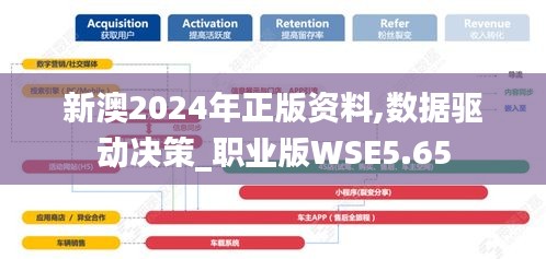新澳2024年正版資料,數據驅動決策_職業(yè)版WSE5.65