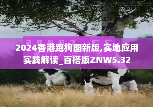 2024香港跑狗圖新版,實地應(yīng)用實踐解讀_百搭版ZNW5.32