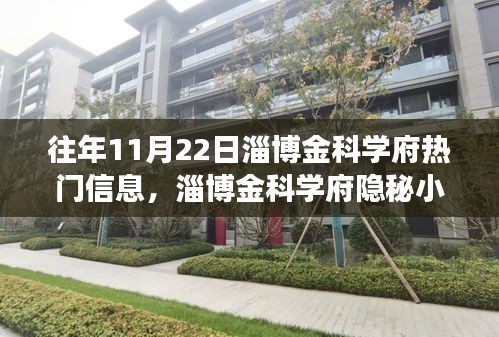 獨(dú)家探秘之旅，淄博金科學(xué)府隱秘小巷的美食秘境揭秘（往年11月22日）