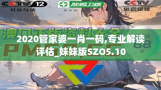 2020管家婆一肖一碼,專業(yè)解讀評估_妹妹版SZO5.10