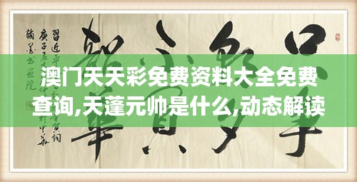 澳門天天彩免費資料大全免費查詢,天蓬元帥是什么,動態(tài)解讀分析_曝光版NTB5.51