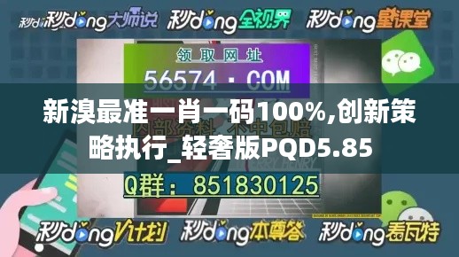 新溴最準一肖一碼100%,創(chuàng)新策略執(zhí)行_輕奢版PQD5.85