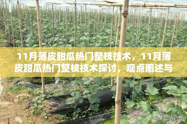 11月薄皮甜瓜整枝技術(shù)探討，觀點(diǎn)闡述與解析