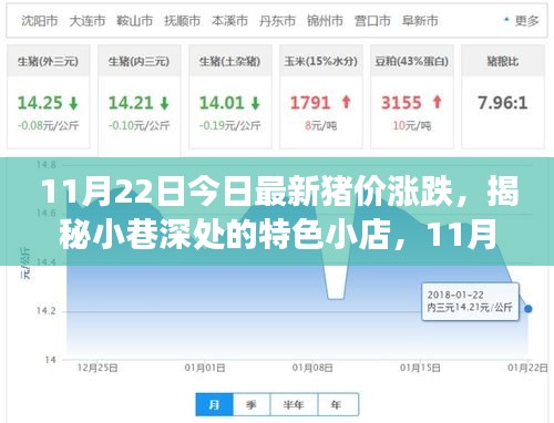 11月22日今日最新豬價(jià)漲跌，揭秘小巷深處的特色小店，11月22日最新豬價(jià)漲跌背后的故事