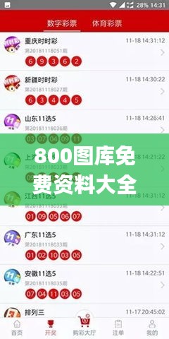 800圖庫(kù)免費(fèi)資料大全,直播全面解答是什么軟件_夢(mèng)想版FSX5.20