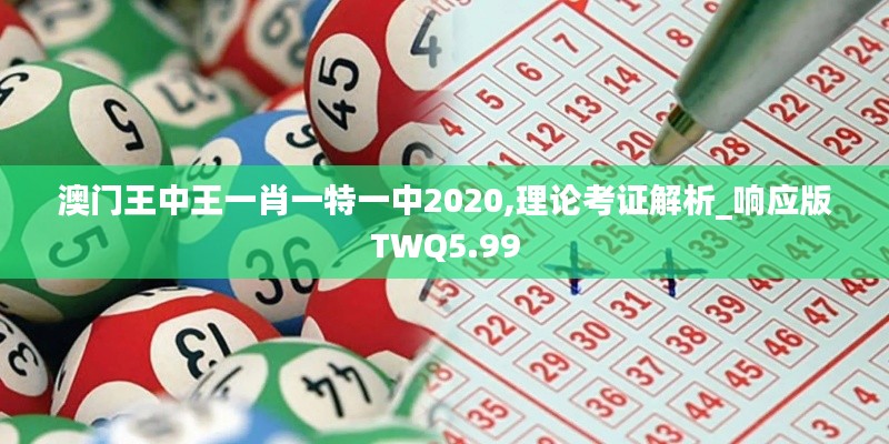 澳門王中王一肖一特一中2020,理論考證解析_響應(yīng)版TWQ5.99