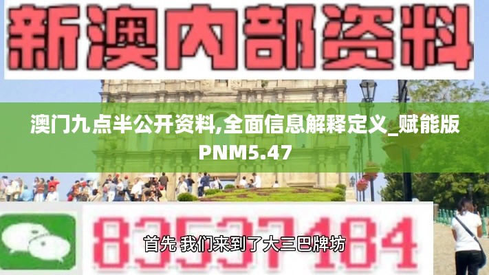 澳門九點半公開資料,全面信息解釋定義_賦能版PNM5.47
