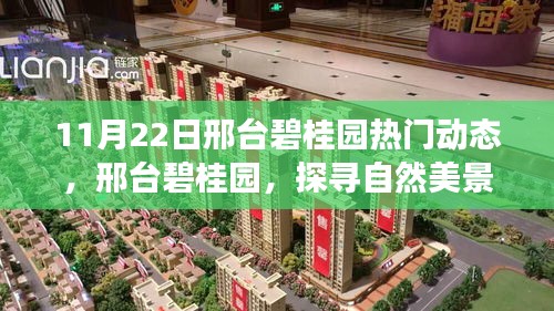 邢臺(tái)碧桂園，探尋自然美景的心靈寧靜之旅（11月22日熱門動(dòng)態(tài)）