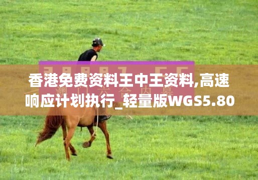 香港免費資料王中王資料,高速響應計劃執(zhí)行_輕量版WGS5.80