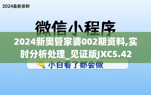 2024新奧管家婆002期資料,實(shí)時(shí)分析處理_見證版JXC5.42