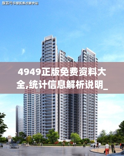 4949正版免費資料大全,統(tǒng)計信息解析說明_閃電版ZPR5.26