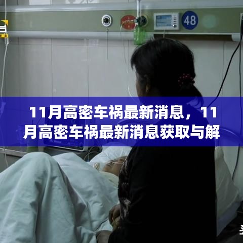 11月高密車禍最新消息解讀與獲取指南，適用于初學(xué)者與進階用戶