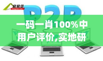 一碼一肖100%中用戶(hù)評(píng)價(jià),實(shí)地研究解答協(xié)助_快速版KNW5.74