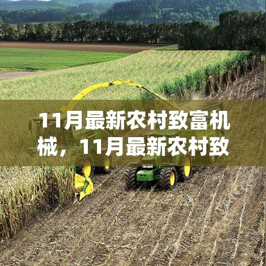 11月最新農(nóng)村致富機(jī)械引領(lǐng)農(nóng)業(yè)新時代發(fā)展