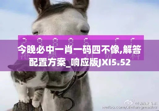 今晚必中一肖一碼四不像,解答配置方案_響應(yīng)版JXI5.52