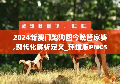 2024新澳門跑狗圖今晚管家婆,現代化解析定義_環(huán)境版PNC5.51