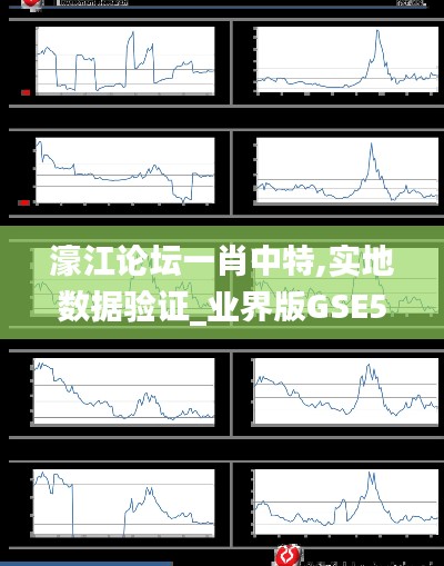 濠江論壇一肖中特,實地數(shù)據(jù)驗證_業(yè)界版GSE5.84