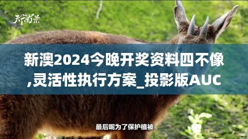 新澳2024今晚開獎資料四不像,靈活性執(zhí)行方案_投影版AUC5.81