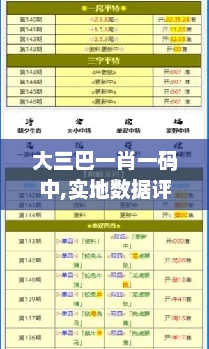 大三巴一肖一碼中,實(shí)地?cái)?shù)據(jù)評(píng)估分析_稀缺版YBN5.91