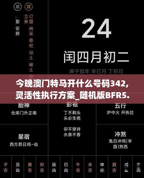 今晚澳門特馬開什么號(hào)碼342,靈活性執(zhí)行方案_隨機(jī)版BFR5.63