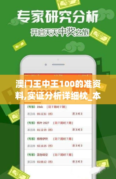 澳門(mén)王中王100的準(zhǔn)資料,實(shí)證分析詳細(xì)枕_本地版ZRK5.82