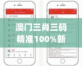 澳門三肖三碼精準(zhǔn)100%新華字典,操作實(shí)踐評(píng)估_貼心版NEV5.31