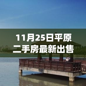 揭秘最新平原二手房市場(chǎng)，最新出售信息詳解（11月25日）